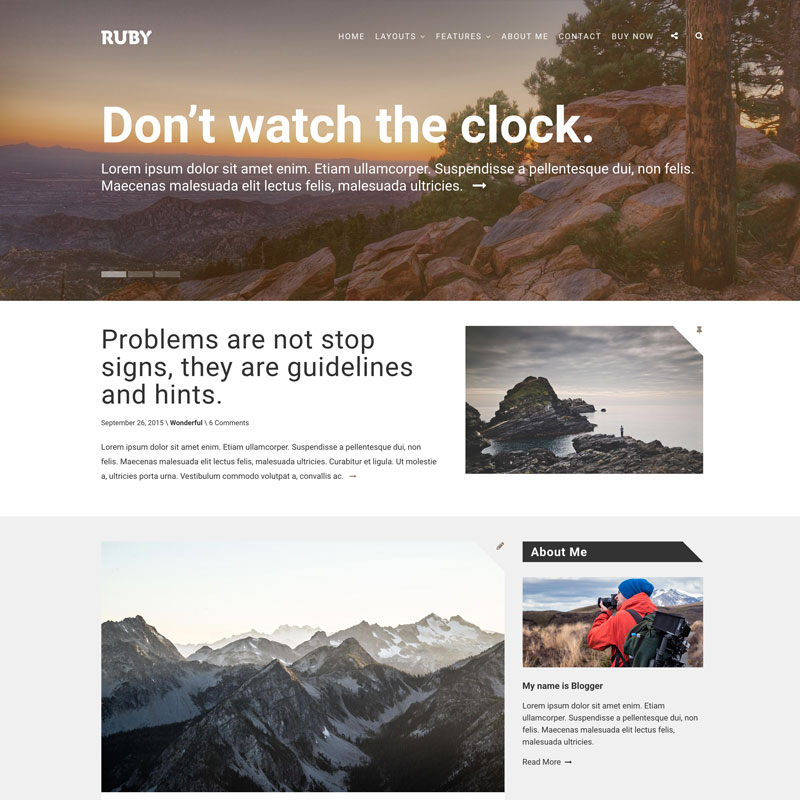 Ruby theme light demo